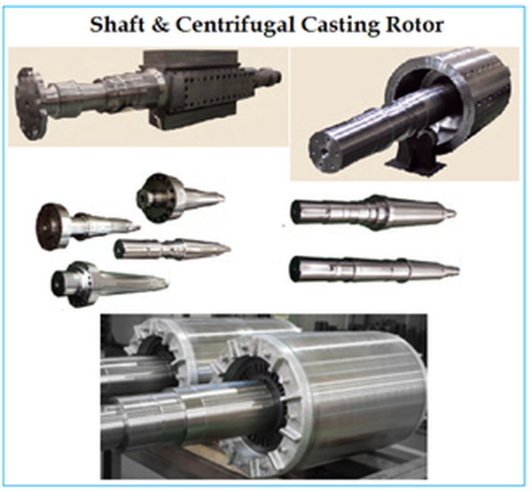 Shaft & Centrifual Casting Rotor